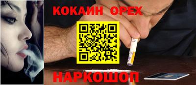 шишки Будённовск