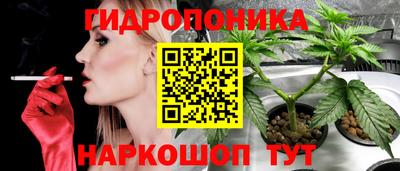 СК Бугуруслан