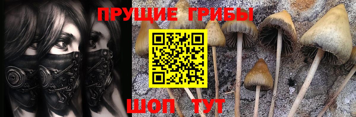 Галлюциногенные грибы Magic Shrooms Копейск